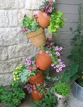 FRIENDSHIP'S GARDEN 800-682-9272