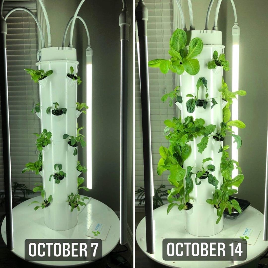 JUICE PLUS and TOWER GARDEN Karen Schobel Texas Market Guide