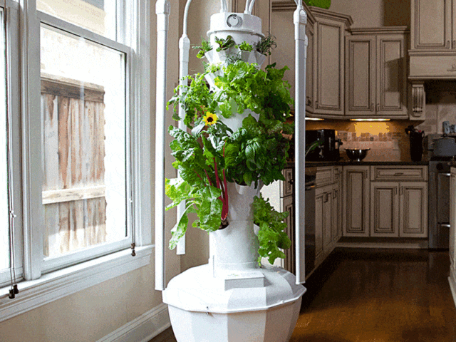 TOWER GARDEN - KAREN SCHOBEL