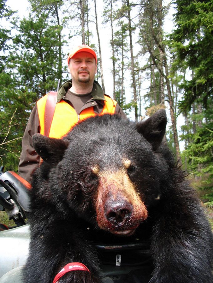 Montana bear hunting