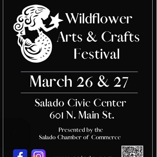 Salado Wildflower Arts and Craft Festival
