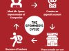 Spammer Cycle